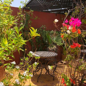 RIAD GREEN LOTUS